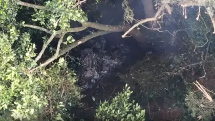 Piloto e três turistas colombianas morrem em queda de helicóptero no Rio de Janeiro - Studio TV