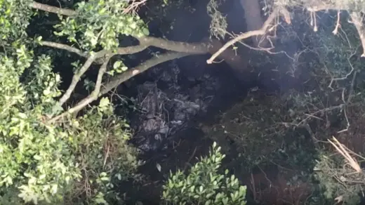 Piloto e três turistas colombianas morrem em queda de helicóptero no Rio de Janeiro - Studio TV