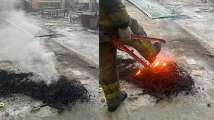 Princípio de incêndio atinge pavilhão abandonado em Bento Gonçalves - Studio TV