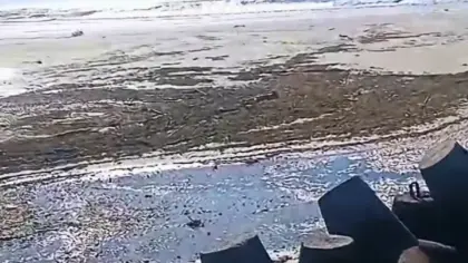 Recuo de cerca de 100 metros do mar chama atenção em Passo de Torres, no Litoral Sul de SC - Studio TV
