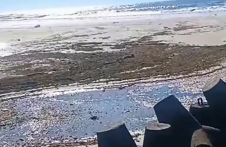Recuo de cerca de 100 metros do mar chama atenção em Passo de Torres, no Litoral Sul de SC - Studio TV