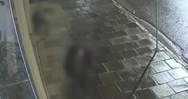 Homem investigado por furto de celular em Nova Bassano é preso em Porto Alegre - Studio TV