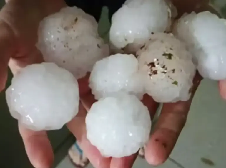 Temporais deixam dois mortos e mais de 1,6 mil imóveis danificados no Rio Grande do Sul - Studio TV