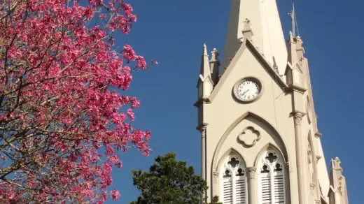 Adeus inverno? Primavera chega em 22 de setembro com calor e mudanças no tempo no Brasil - Studio TV