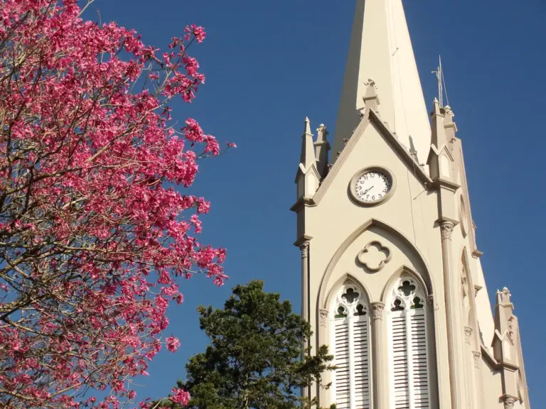 Adeus inverno? Primavera chega em 22 de setembro com calor e mudanças no tempo no Brasil - Studio TV