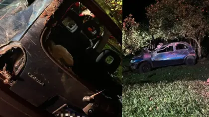 Adolescente de 16 anos fica ferido após capotamento na ERS-431, em Bento Gonçalves - Studio TV