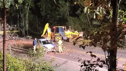 Árvore cai sobre a BR-470 e veículo se envolve em ocorrência em Nova Prata - Studio TV