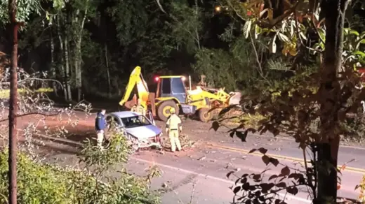 Árvore cai sobre a BR-470 e veículo se envolve em ocorrência em Nova Prata - Studio TV