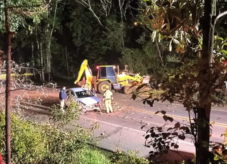 Árvore cai sobre a BR-470 e veículo se envolve em ocorrência em Nova Prata - Studio TV