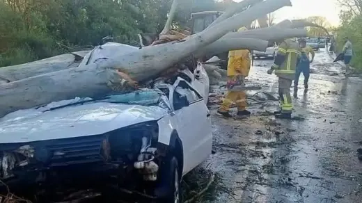 Árvore de grande porte cai sobre camionete e deixa dois feridos na ERS-324, em Pontão - Studio TV
