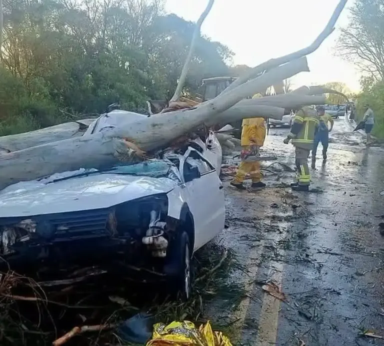 Árvore de grande porte cai sobre camionete e deixa dois feridos na ERS-324, em Pontão - Studio TV