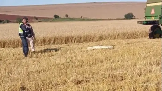 Brasileiro morre após ser atingido por colheitadeira conduzida pelo filho no Paraguai - Studio TV