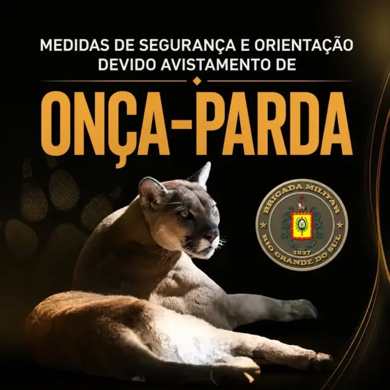 Brigada Militar orienta moradores após possível avistamento de onça-parda em Ametista do Sul - Studio TV