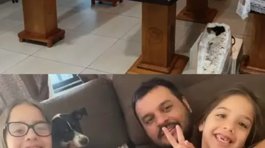 Cachorrinha que morreu em acidente com pai e duas filhas é velada ao lado da família - Studio TV
