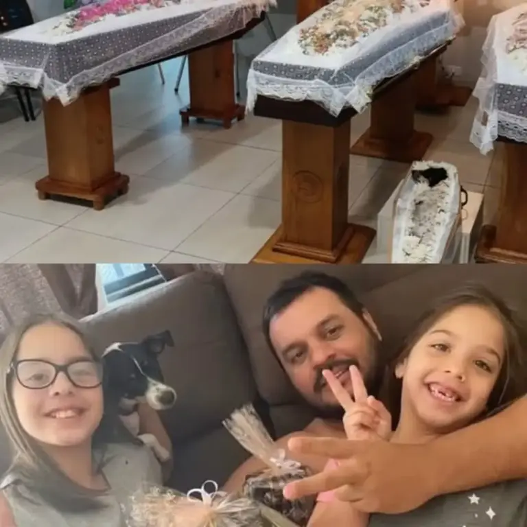 Cachorrinha que morreu em acidente com pai e duas filhas é velada ao lado da família - Studio TV