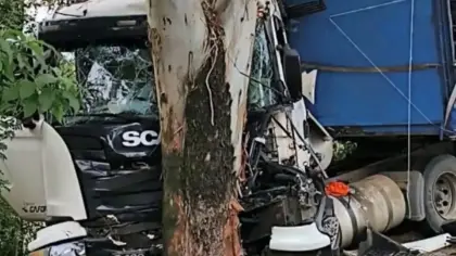 Carreta sai da pista, atinge placas e bate em árvore na BR-158, no Noroeste do RS - Studio TV