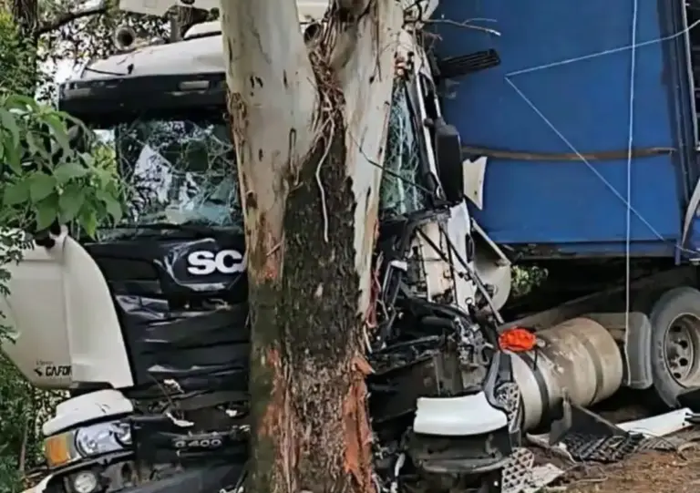 Carreta sai da pista, atinge placas e bate em árvore na BR-158, no Noroeste do RS - Studio TV