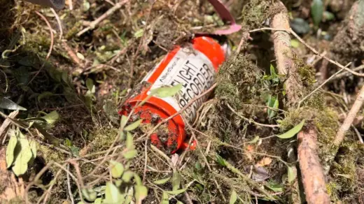 Cenipa recupera caixa-preta de helicóptero que levava cantor Rick em Santa Catarina - Studio TV
