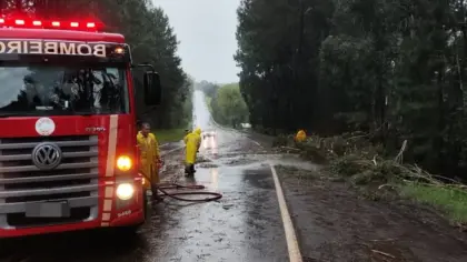 Chuva e ventos fortes derrubam árvores e provocam interdições na região de Vacaria - Studio TV