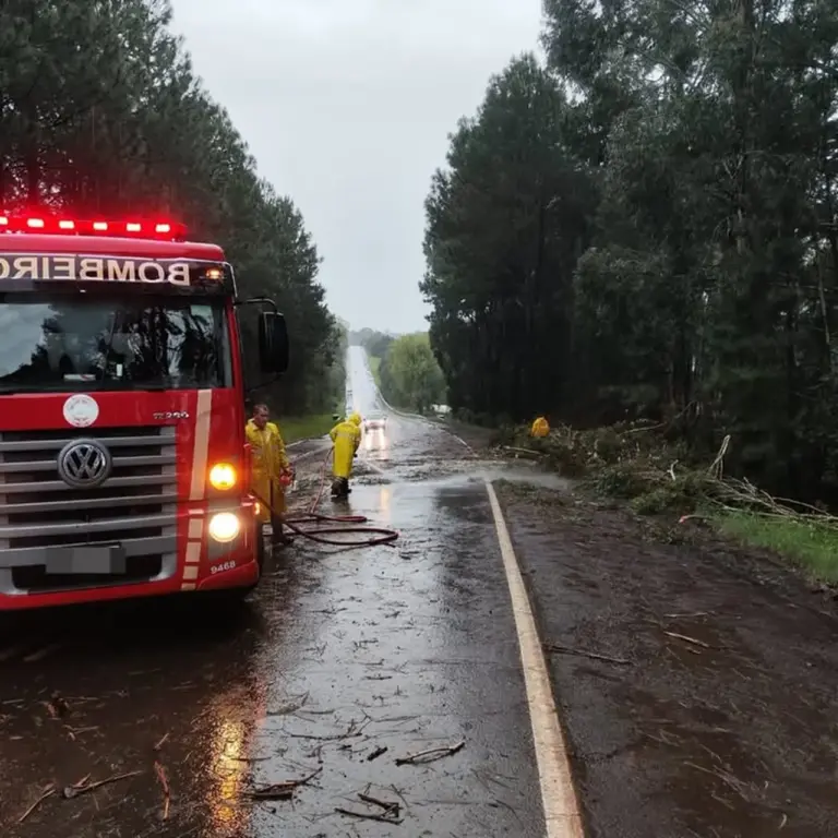 Chuva e ventos fortes derrubam árvores e provocam interdições na região de Vacaria - Studio TV