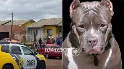 Criança de 10 anos morre após ataque de pitbull da própria família no Paraná - Studio TV
