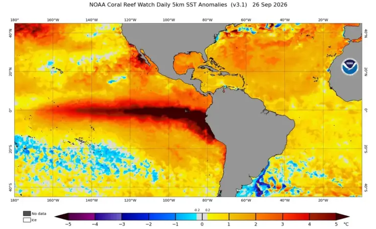 El Niño de 2026 quebra recorde histórico e ainda pode ganhar força - Studio TV