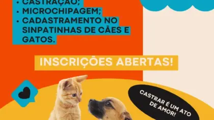 Fagundes Varela abre inscrições para castração gratuita de cães e gatos - Studio TV