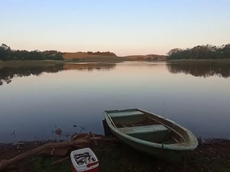 Fiscalização flagra pesca irregular e apreende 380 metros de redes em Três Palmeiras - Studio TV