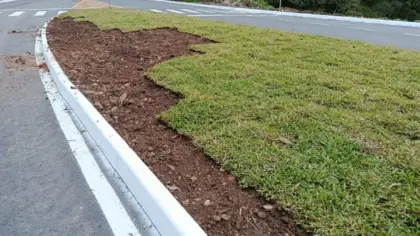Furto de placas de grama chama atenção em Farroupilha - Studio TV