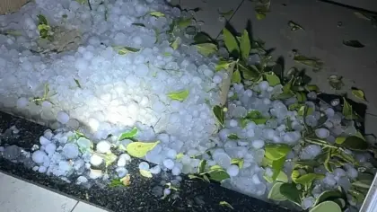 Granizo deixa mais de 6 mil pessoas afetadas e danifica 1,3 mil casas no RS - Studio TV