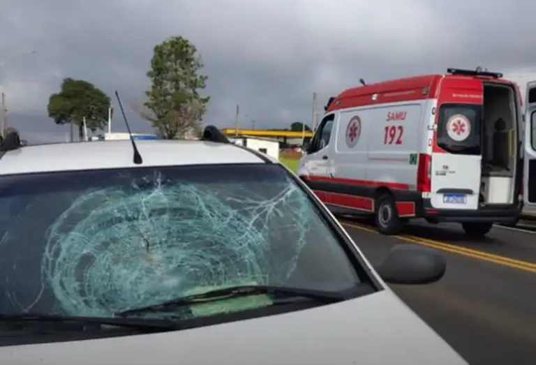Homem de 63 anos morre após ser atropelado na ERS-130, em Lajeado - Studio TV