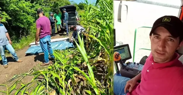 Homem natural do RS morre após suspeito ataque de javali em Mato Grosso do Sul - Studio TV
