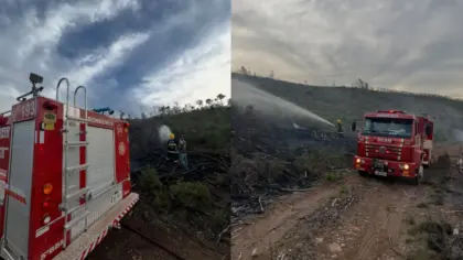 Incêndio atinge área de vegetação no interior de Ipê e mobiliza bombeiros - Studio TV