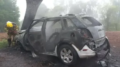 Incêndio destrói veículo após saída de pista na ERS-129, em Dois Lajeados - Studio TV