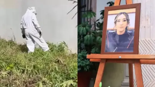 Juíza morre após sofrer cerca de 300 picadas de abelhas ao proteger o filho - Studio TV
