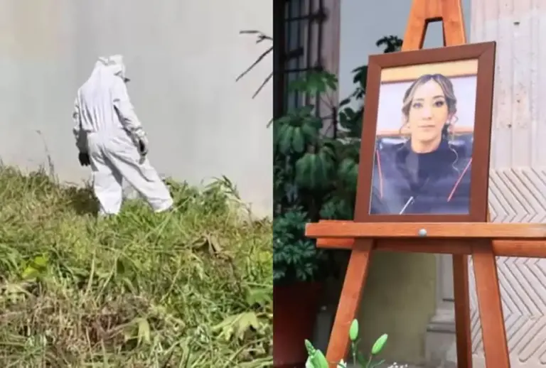 Juíza morre após sofrer cerca de 300 picadas de abelhas ao proteger o filho - Studio TV