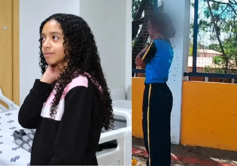 Menina de 12 anos recebe alta após sofrer mais de 100 picadas de abelha em Minas Gerais - Studio TV