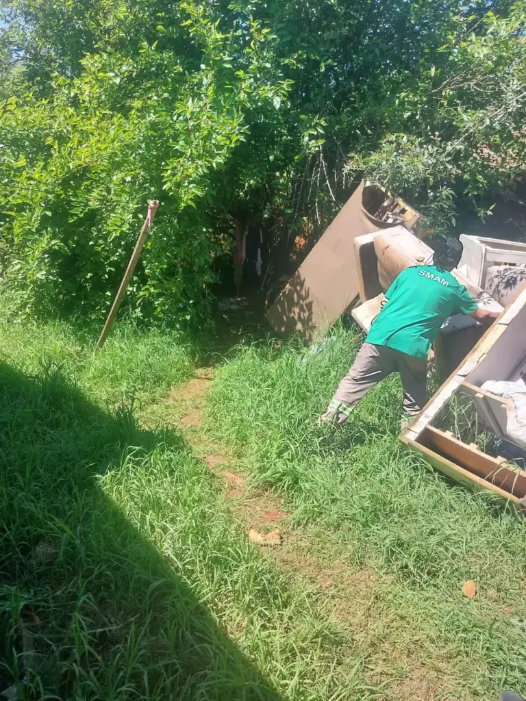 Mulher é presa por suspeita de crueldade contra cão em Passo Fundo - Studio TV