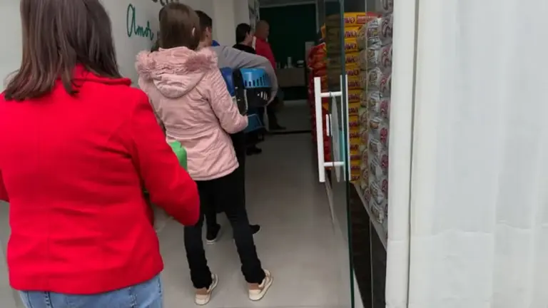 Nova Prata já realizou 172 castrações gratuitas de cães e gatos pelo Castramóvel - Studio TV