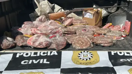 Operação mira abigeato e comércio clandestino de carne no RS - Studio TV
