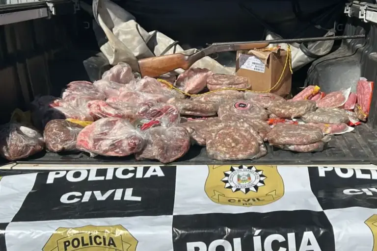 Operação mira abigeato e comércio clandestino de carne no RS - Studio TV