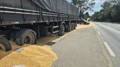 Pneu de carreta estoura e carga de milho fica espalhada na BR-470, em Vila Flores - Studio TV
