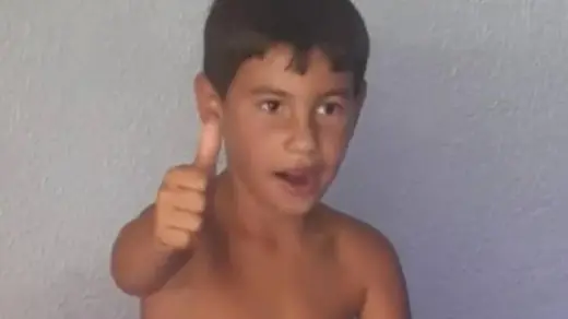 Polícia aguarda perícia sobre queda de árvore que matou menino de 8 anos em Porto Alegre - Studio TV