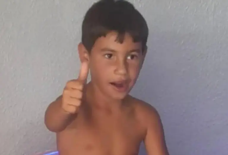 Polícia aguarda perícia sobre queda de árvore que matou menino de 8 anos em Porto Alegre - Studio TV