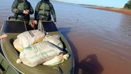 Polícia Ambiental apreende 2,1 mil metros de redes e 203 quilos de pescado no RS - Studio TV