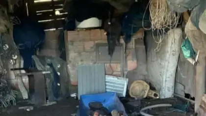 Polícia encontra abatedouro clandestino e gado irregular no litoral do RS - Studio TV