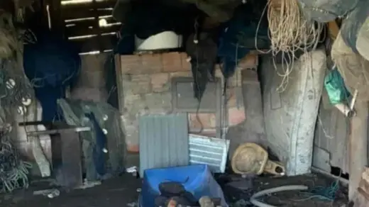Polícia encontra abatedouro clandestino e gado irregular no litoral do RS - Studio TV