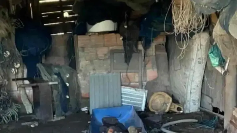 Polícia encontra abatedouro clandestino e gado irregular no litoral do RS - Studio TV