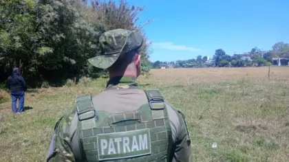 Possível avistamento de onça-parda mobiliza equipes no Noroeste do RS - Studio TV