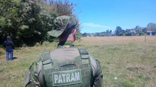 Possível avistamento de onça-parda mobiliza equipes no Noroeste do RS - Studio TV